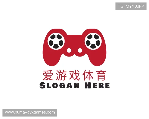 关于爱游戏
